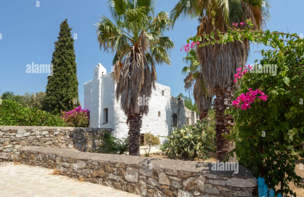 Taman mediterania dengan pohon palem dan tanaman kaktus